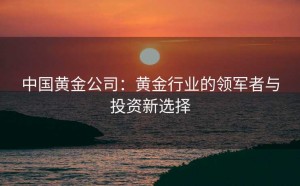 中国黄金公司：黄金行业的领军者与投资新选择