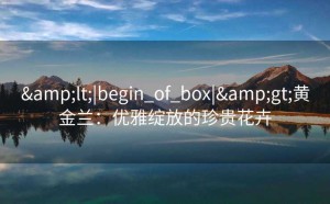 <|begin_of_box|>黄金兰：优雅绽放的珍贵花卉