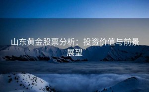 山东黄金股票分析：投资价值与前景展望