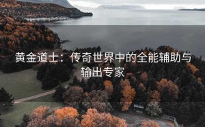 黄金道士：传奇世界中的全能辅助与输出专家