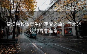 留坝特长体育生的逐梦之旅：汗水浇筑的青春篇章