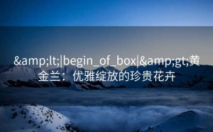 &lt;|begin_of_box|&gt;黄金兰：优雅绽放的珍贵花卉