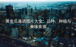 黄金瓜高清图片大全：品种、种植与美味食谱