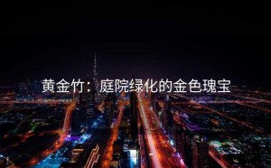 黄金竹：庭院绿化的金色瑰宝