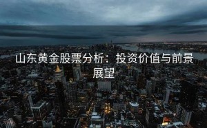 山东黄金股票分析：投资价值与前景展望