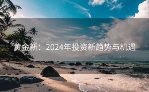 黄金新：2024年投资新趋势与机遇