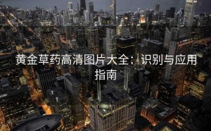 黄金草药高清图片大全：识别与应用指南