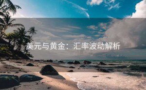 美元与黄金：汇率波动解析