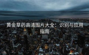 黄金草药高清图片大全：识别与应用指南