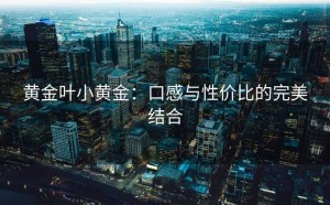 黄金叶小黄金：口感与性价比的完美结合