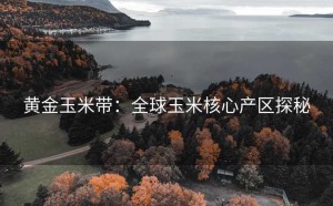 黄金玉米带：全球玉米核心产区探秘