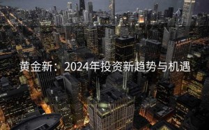 黄金新：2024年投资新趋势与机遇