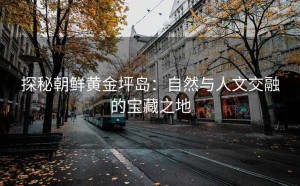 探秘朝鲜黄金坪岛：自然与人文交融的宝藏之地