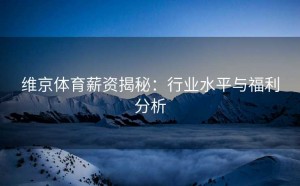 维京体育薪资揭秘：行业水平与福利分析