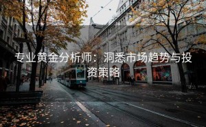 专业黄金分析师：洞悉市场趋势与投资策略