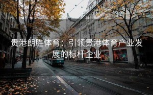 贵港朗胜体育：引领贵港体育产业发展的标杆企业
