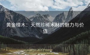 黄金樟木：天然珍稀木材的魅力与价值