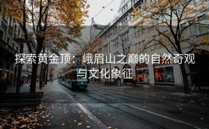 探索黄金顶：峨眉山之巅的自然奇观与文化象征