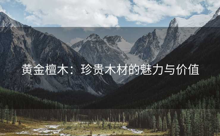 黄金檀木：珍贵木材的魅力与价值