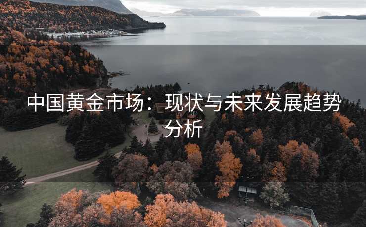 中国黄金市场：现状与未来发展趋势分析