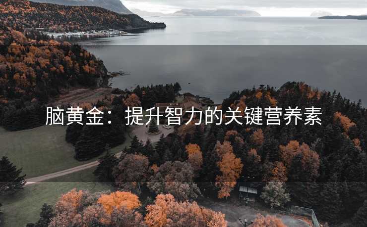 脑黄金：提升智力的关键营养素