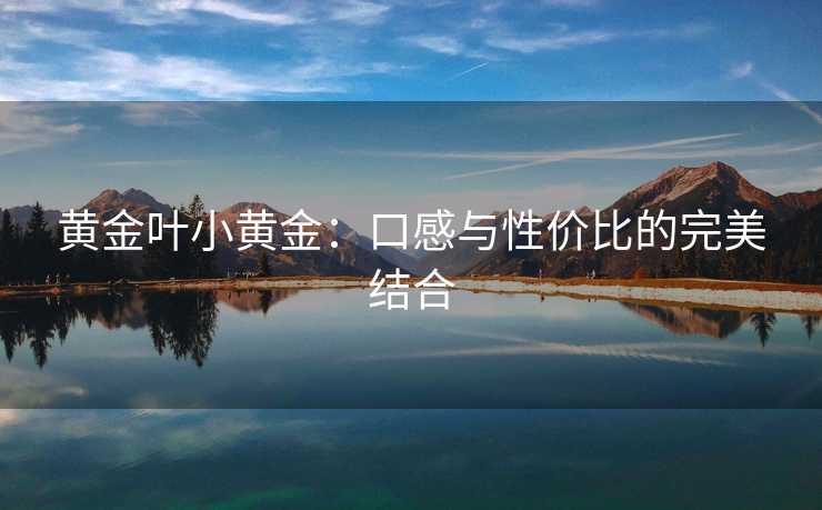 黄金叶小黄金：口感与性价比的完美结合