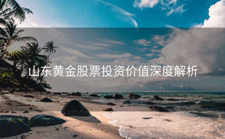 山东黄金股票投资价值深度解析
