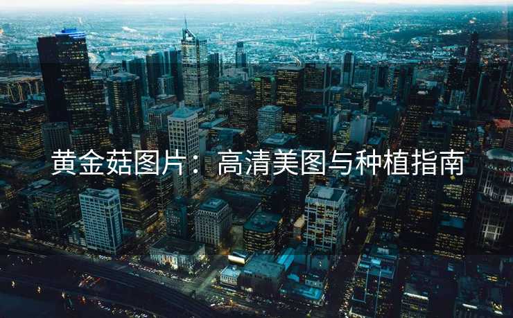 黄金菇图片：高清美图与种植指南