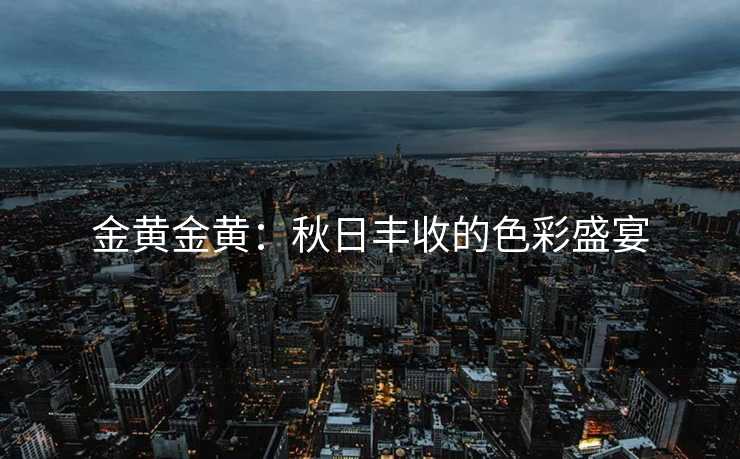 金黄金黄：秋日丰收的色彩盛宴