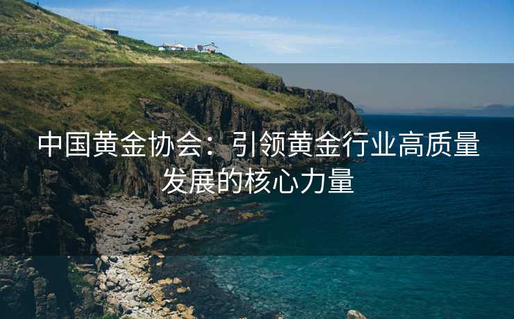 中国黄金协会：引领黄金行业高质量发展的核心力量