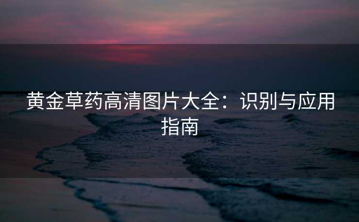 黄金草药高清图片大全：识别与应用指南