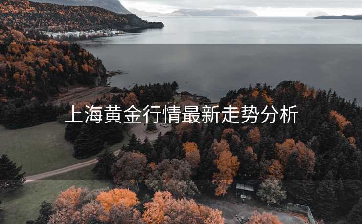 上海黄金行情最新走势分析