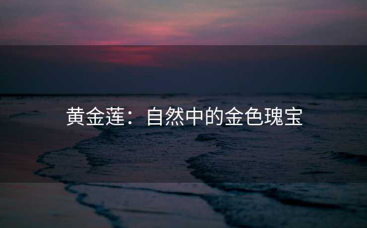 黄金莲：自然中的金色瑰宝