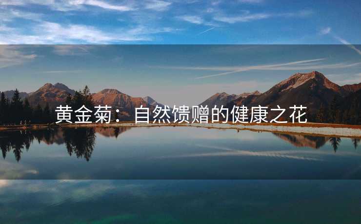 黄金菊：自然馈赠的健康之花
