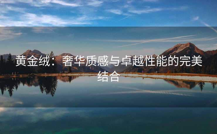 黄金绒：奢华质感与卓越性能的完美结合