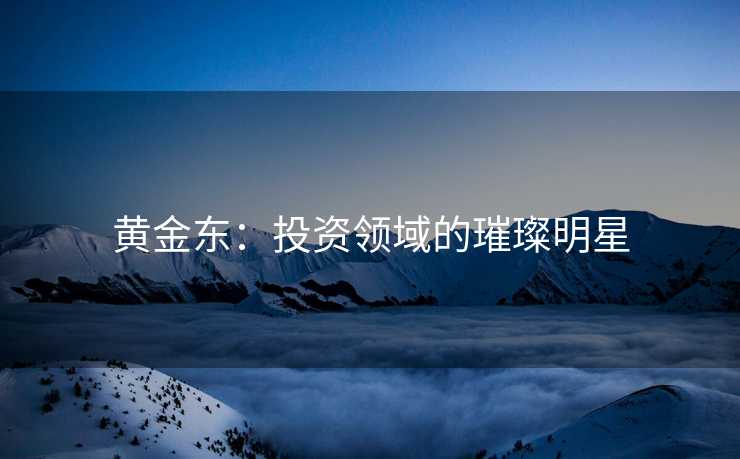 黄金东：投资领域的璀璨明星