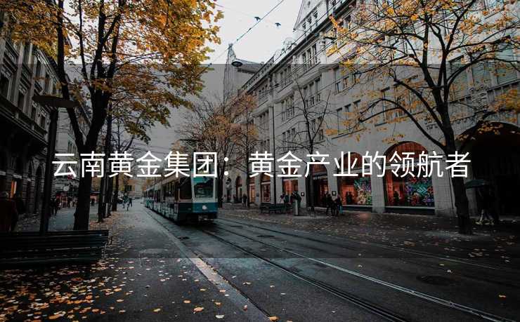云南黄金集团：黄金产业的领航者