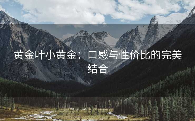 黄金叶小黄金：口感与性价比的完美结合