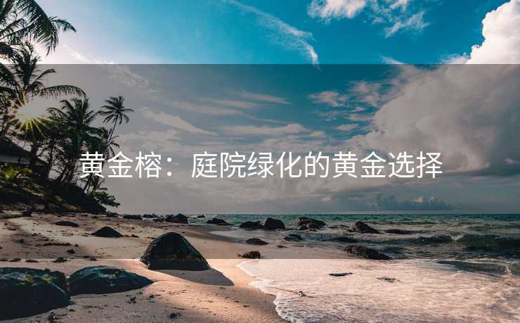 黄金榕：庭院绿化的黄金选择