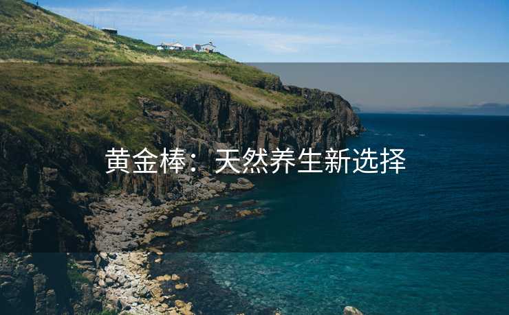 黄金棒：天然养生新选择