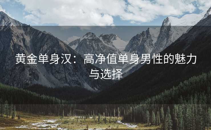 黄金单身汉：高净值单身男性的魅力与选择
