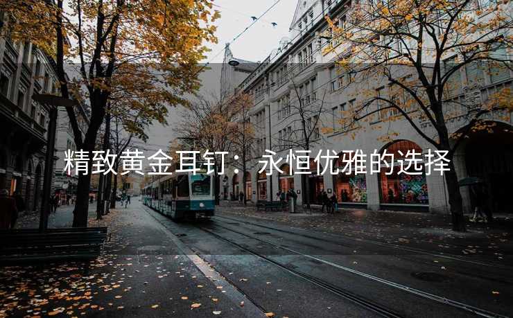 精致黄金耳钉：永恒优雅的选择
