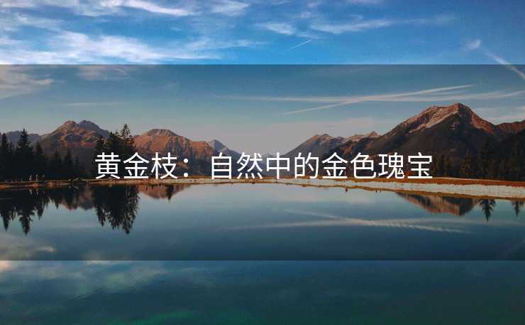 黄金枝：自然中的金色瑰宝