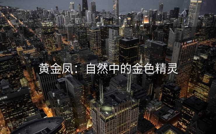 黄金凤：自然中的金色精灵