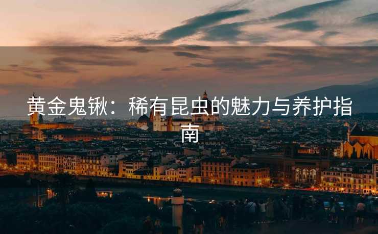 黄金鬼锹：稀有昆虫的魅力与养护指南