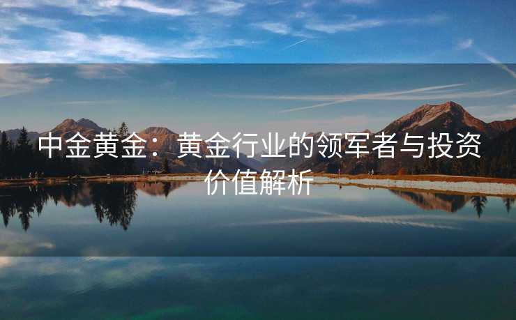 中金黄金：黄金行业的领军者与投资价值解析