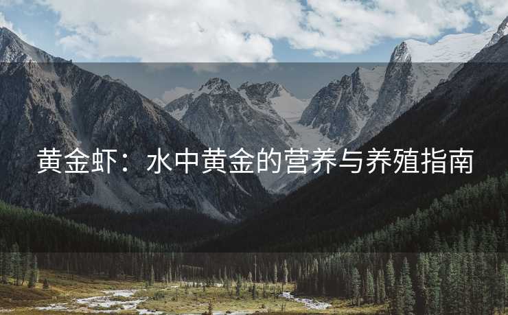 黄金虾：水中黄金的营养与养殖指南