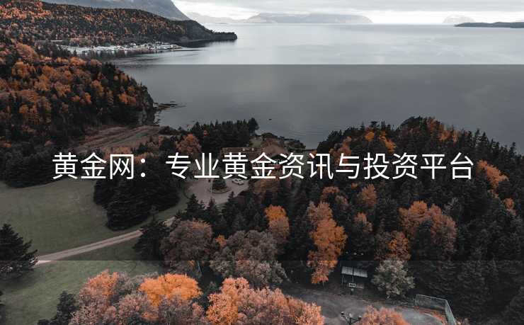黄金网：专业黄金资讯与投资平台
