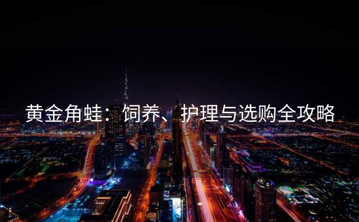 黄金角蛙：饲养、护理与选购全攻略