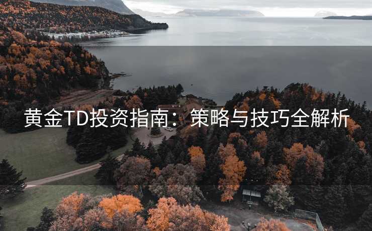 黄金TD投资指南：策略与技巧全解析